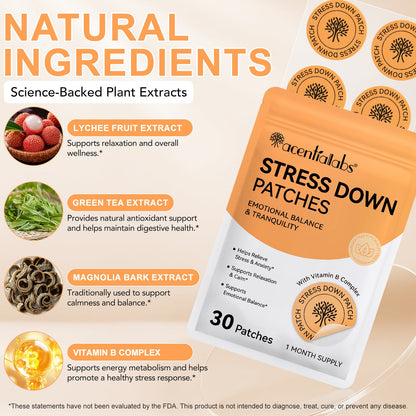 Relaxation Calmness And Pressure Drop Nursing Patch - 30 Patches