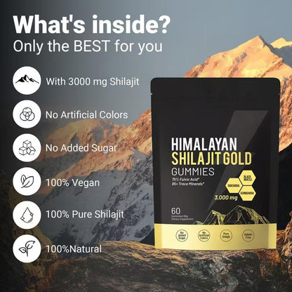 Kidney Support Shilajit Gummies