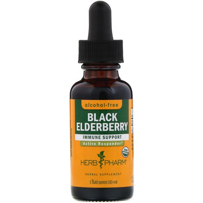 Herb Pharm Black Elderberry Glycerite - Immune Support, 1 Ounce