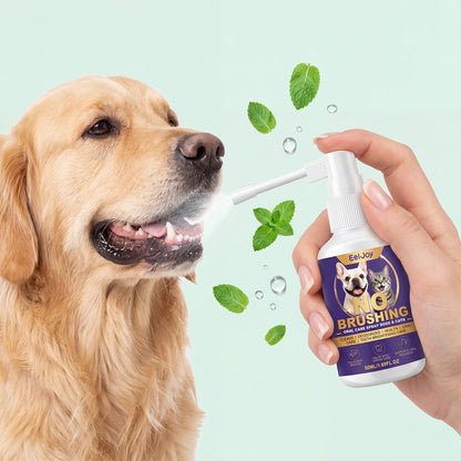 Dog And Cat Tooth Cleaning Spray