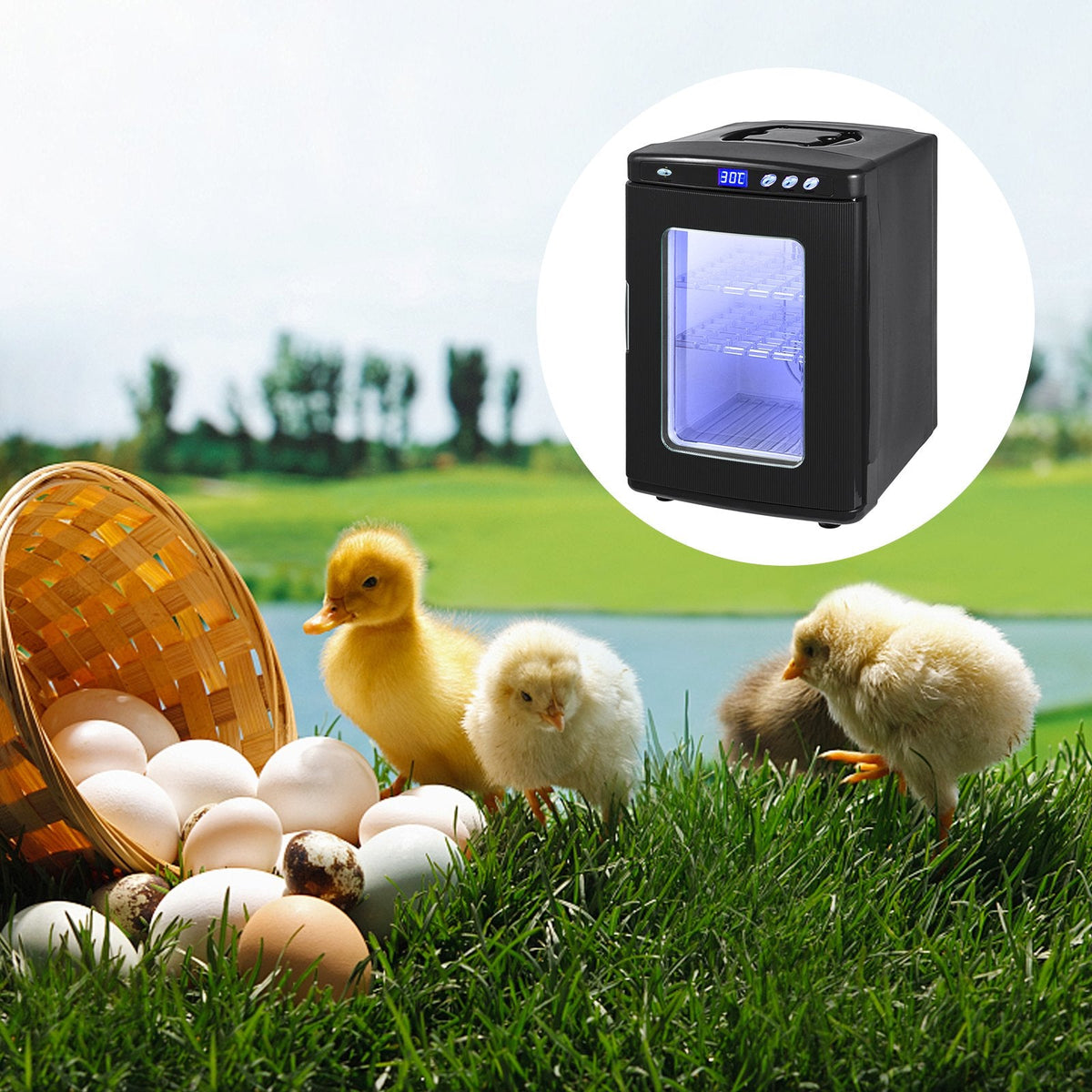 Black Reptile Incubator 25L Scientific Lab Incubator Digital Incubator Cooling And Heating 5-42°C Reptile Egg Incubator 12V/110V Work For Small Reptiles