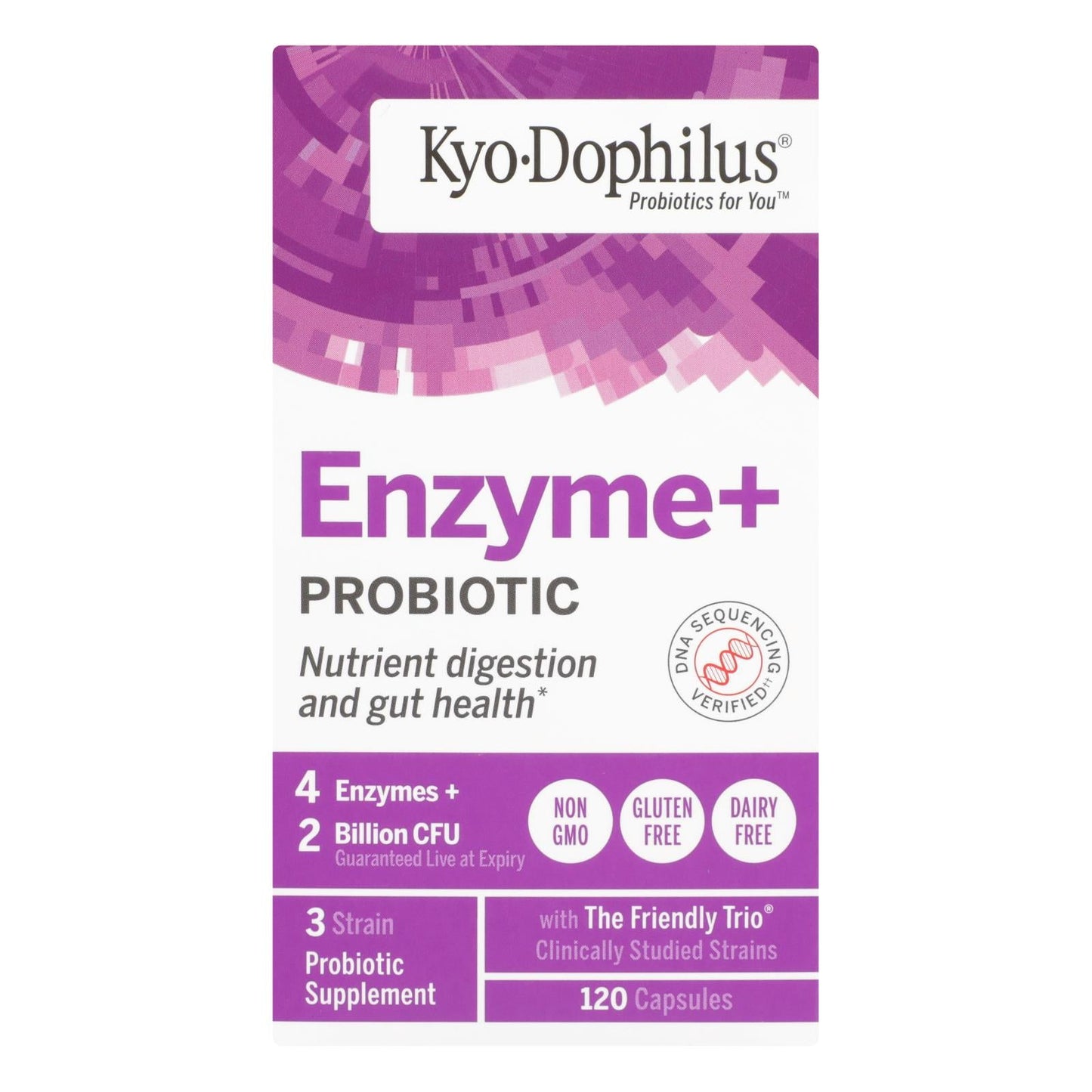 Kyolic Kyo-Dophilus Probiotics Plus Enzymes, 60 Billion CFU, 120 Capsules