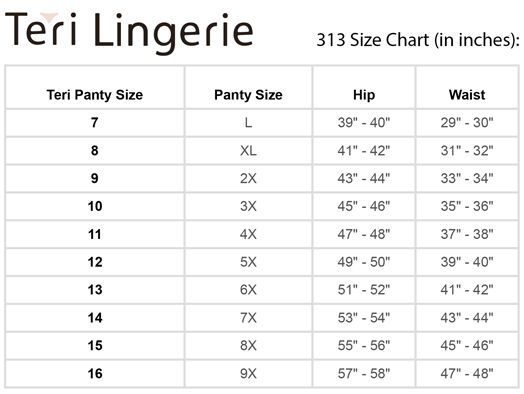 Grace Lace Trim Microfiber Brief Panty (Style 313)