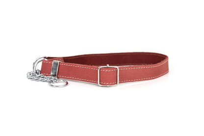 Martingale Leather Dog Collar