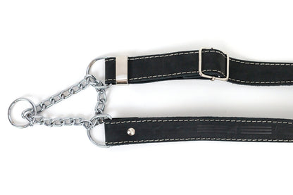 Martingale Leather Dog Collar