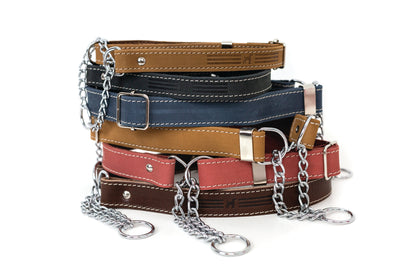 Martingale Leather Dog Collar