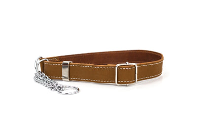 Martingale Leather Dog Collar