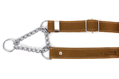 Martingale Leather Dog Collar
