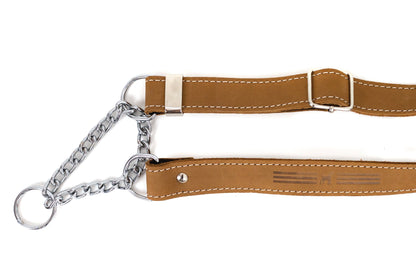 Martingale Leather Dog Collar