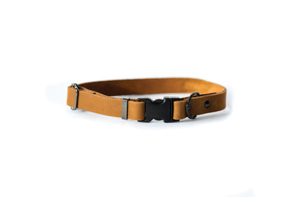 Sport Style Leather Dog Collar