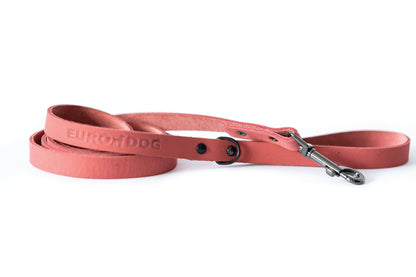 Sport Style Leather Dog Leash