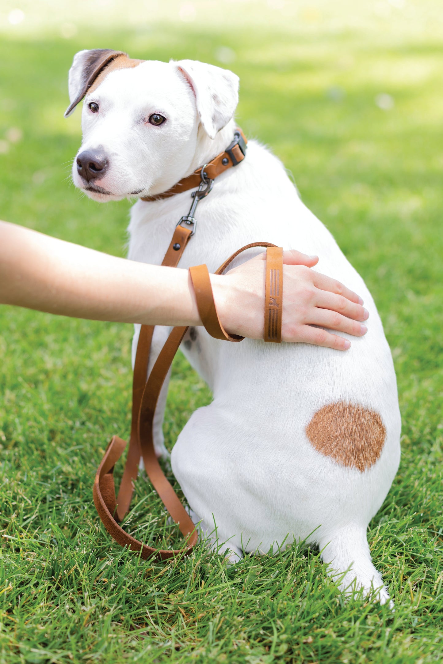 Sport Style Leather Dog Leash