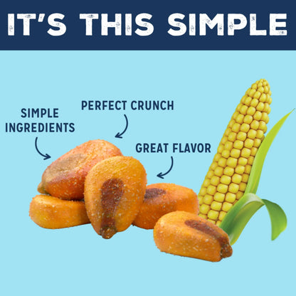 Love Corn Roasted Corn with Sea Salt, Pack of 10 - 1.6 Oz.