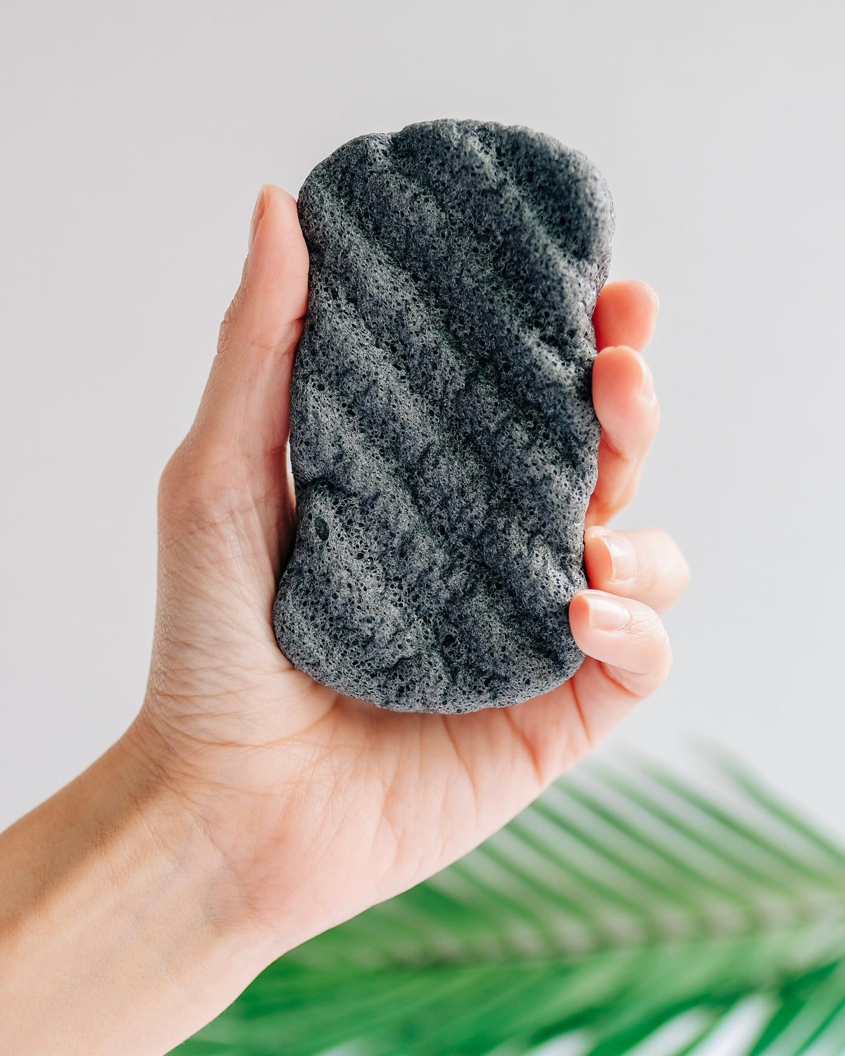 PURE SOL. Beauty Body Buff Charcoal Konjac Body Sponge