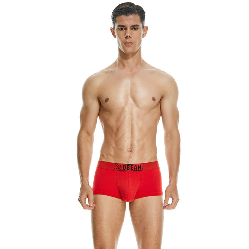 Men's Cotton Underpants Low Waist Casual Boxer Boxer Briefs