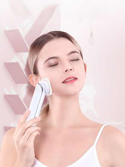 Multifunctional Facial Beauty Device