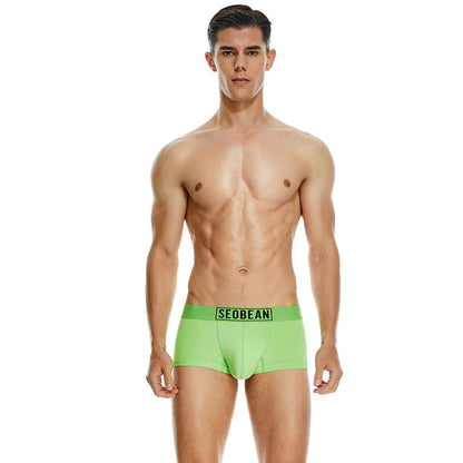 Men's Cotton Underpants Low Waist Casual Boxer Boxer Briefs