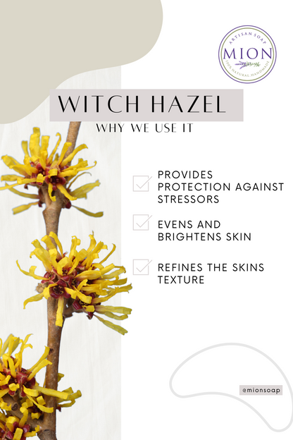Face Toner | Correcting & Balancing pH