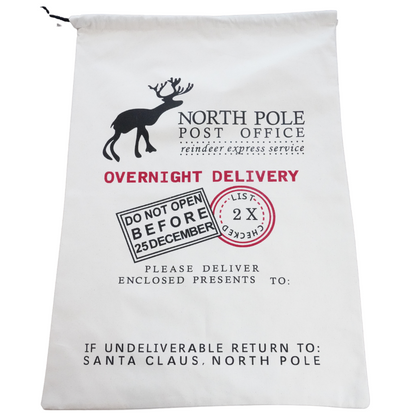 Sustainable Holiday Gift Bags! - 2 sizes