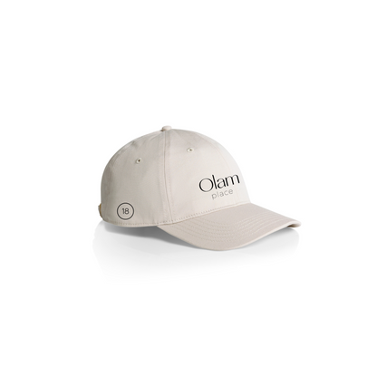 Bone Dad Hat
