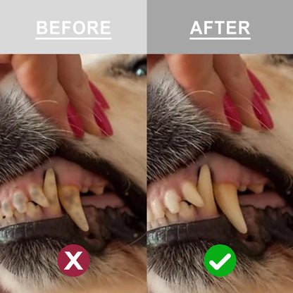 Dog Tooth Care Powder Supplement