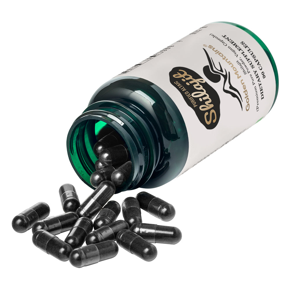 Golden Mountains Shilajit Vegan Capsules – 500mg | 90 Count
