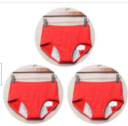Period Leak Proof Panties Women Underwear Pants Nylon Briefs
