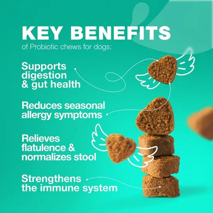Probiotics For Dogs Gut Health Digestion Immunity Yeast Balance Itchy Skin Allergies Support Dog Probiotic Chews With Digestive Enzymes For Gut Flora Soft Treats With Pumpkin And Yeast Powder