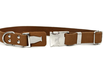 Modern Style Quick-Release Leather Dog Collar