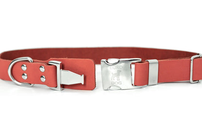 Modern Style Quick-Release Leather Dog Collar