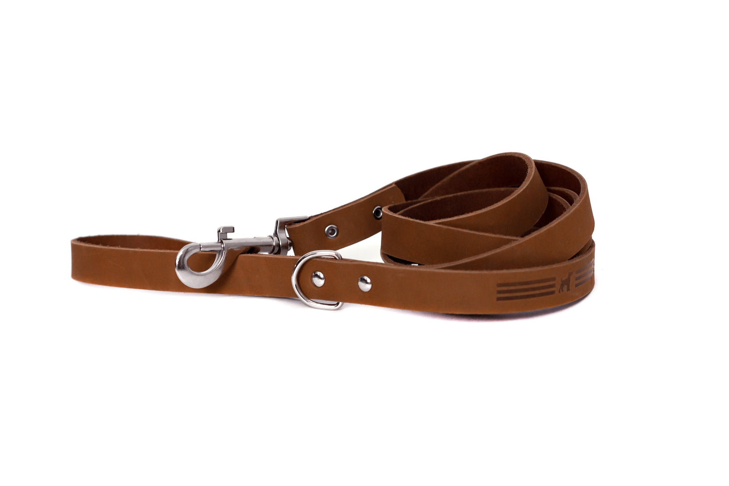Modern Style Leather Dog Leash