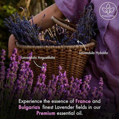 MAJESTIC PURE Lavender Essential Oil