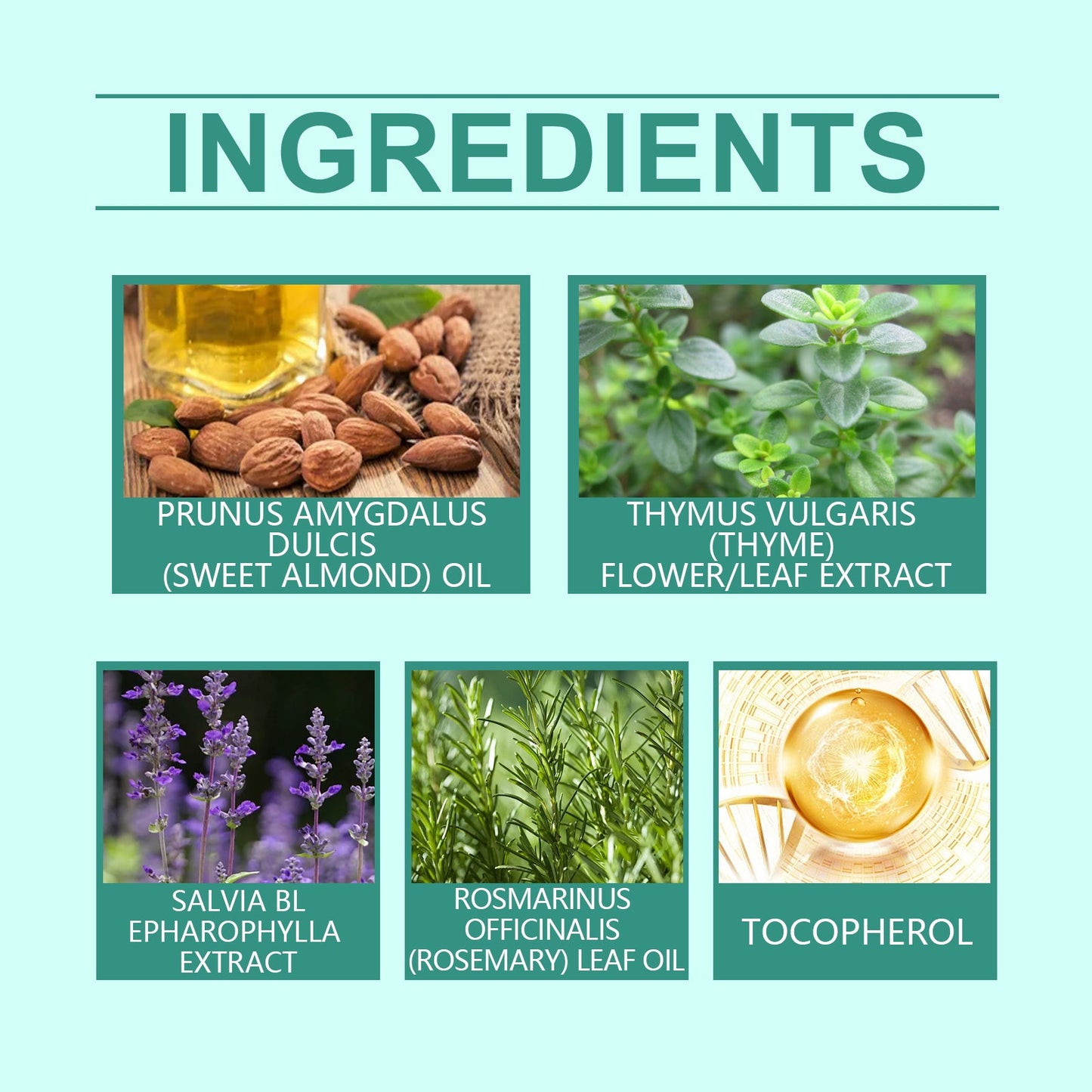 West&Month Body Thyme Cream Plant Essence Moisturizes And Moisturizes Skin Daily Body Care Cream