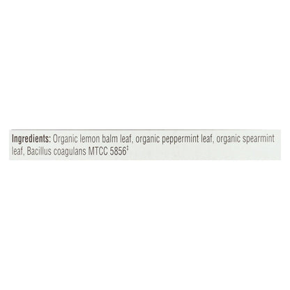 Traditional Medicinals Probiotic Peppermint Delight Tea (Pack of 6 - 16 Bags)