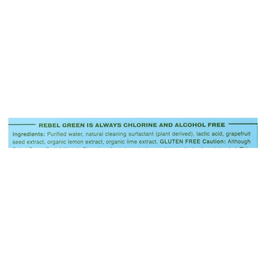 Rebel Green Fruit and Veggie Cleaning Wipes (Pack of 12), 17 Fl Oz