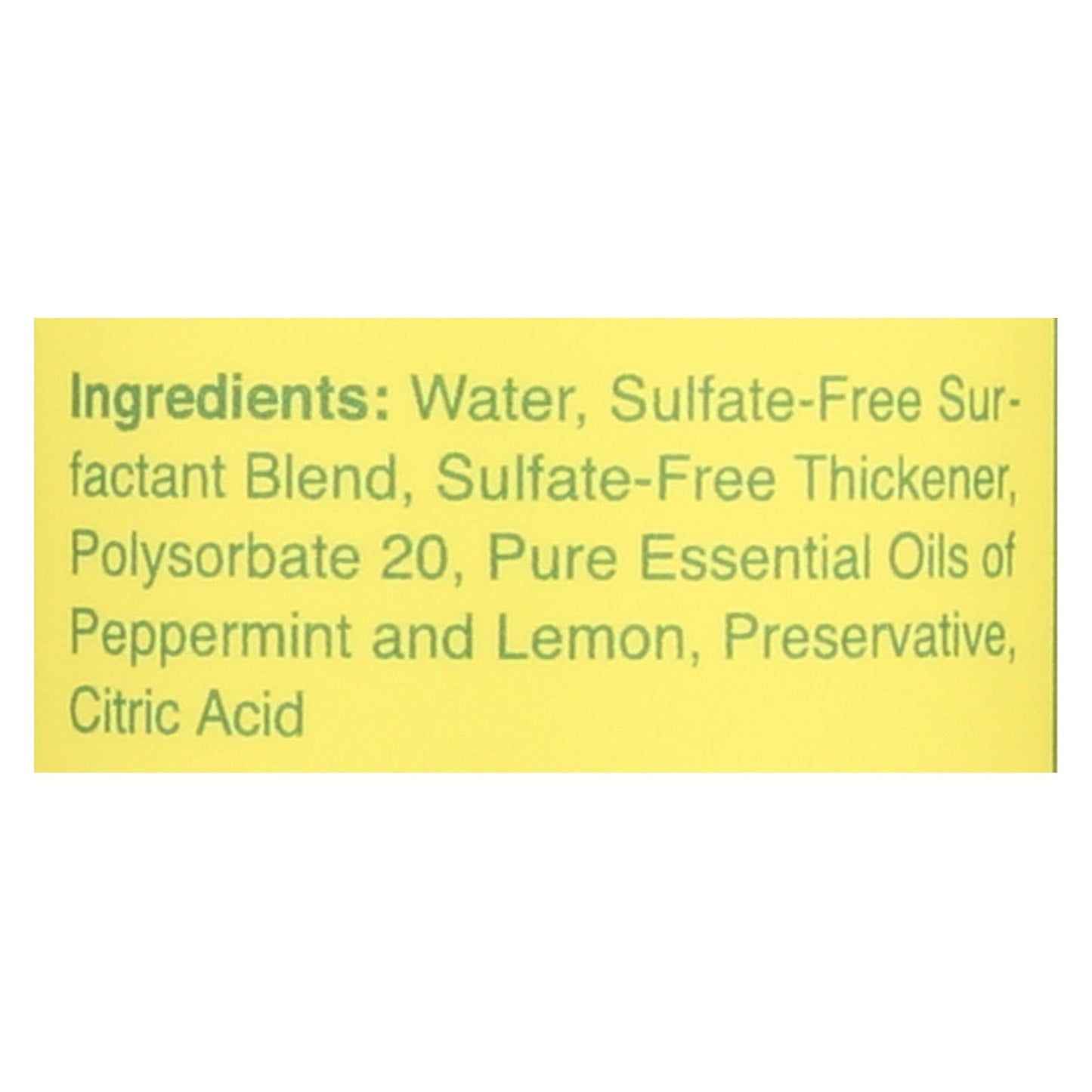 Rebel Green Dish Soap - Peppermint and Lemon 16 Fl Oz (Pack of 4)
