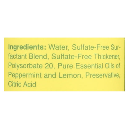 Rebel Green Dish Soap - Peppermint and Lemon 16 Fl Oz (Pack of 4)