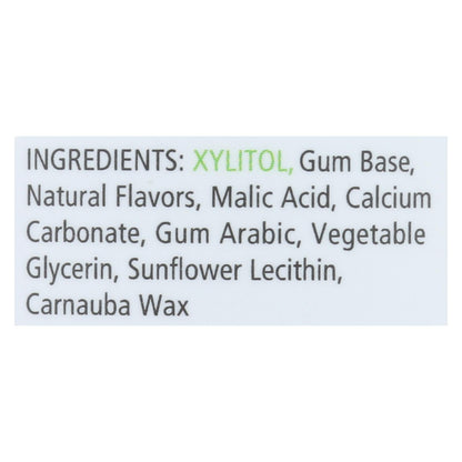 Spry Fresh Fruit Chewing Gum (Pack of 100)