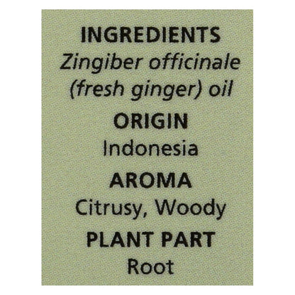 Aura Cacia Fresh Ginger Essential Oil, 0.5 Fl Oz, Pure & Energizing Aromatherapy