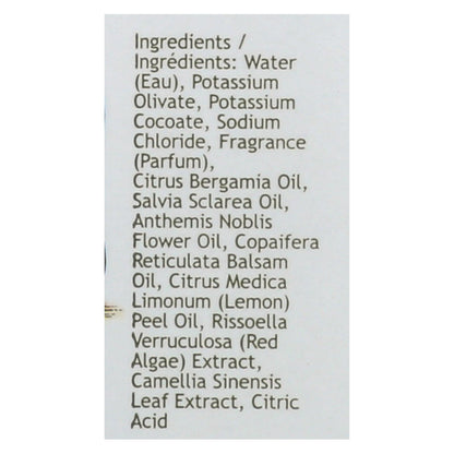 South of France Green Tea Hand Wash (8 Oz)