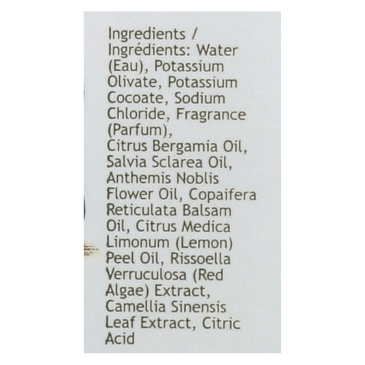 South of France Green Tea Hand Wash (8 Oz)