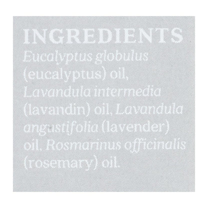 Aura Cacia Essential Oil Breezy Blend Box (Pack of 3 - 0.5 Oz)