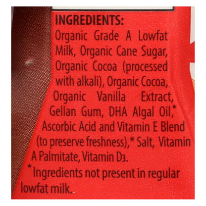Horizon Organic Chocolate Lowfat Milk Plus DHA Omega-3 (Pack of 3 - 6/8 Oz Each)