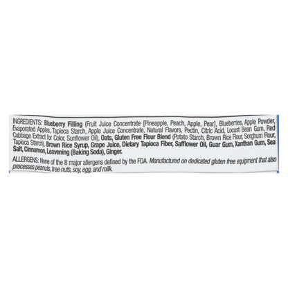 Betty Lou's Blueberry Fruit Bar, 2 Oz. Each (Pack of 12)