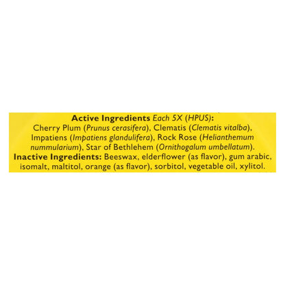 Bach Rescue Remedy Pastilles: Natural Stress Relief with Orange & Elderflower (1.7 oz, Pack of 12)