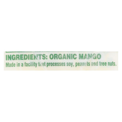 Solely Organic Mango Fruit Jerky | Whole Fruit Strips | Case of 12 (0.8 oz Each)