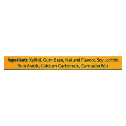 Epic Dental Sugar-Free Xylitol Gum, 50 Pieces - Fresh Fruit Flavor