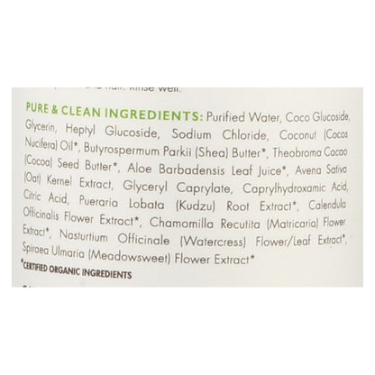 Babo Botanicals Foaming Body Wash, Fragrance-Free, Gentle for Sensitive Skin, 9 Fl Oz