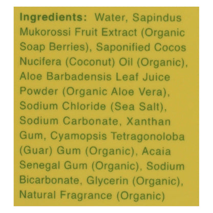 Rebel Green Organic Laundry Detergent - Peppermint and Lemon, Pack of 4, 64 Fl Oz Each