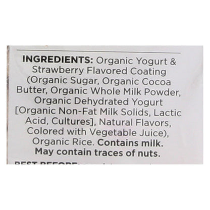 Element Organic Strawberry'n Cream Dipped Rice Cakes (Pack of 6 - 3.5 Oz)